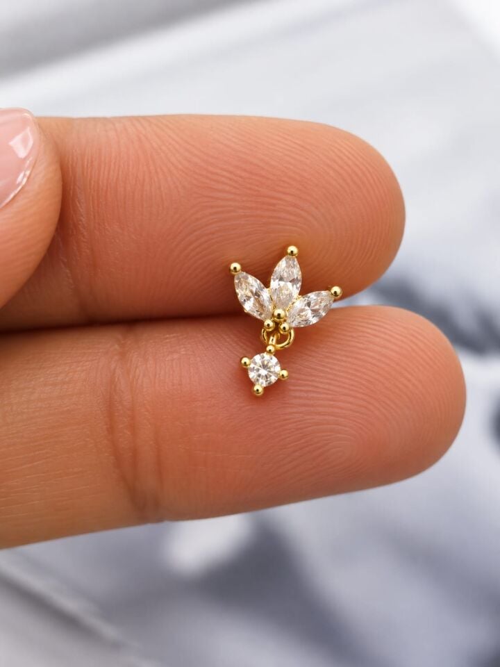 Tragus Sallantılı