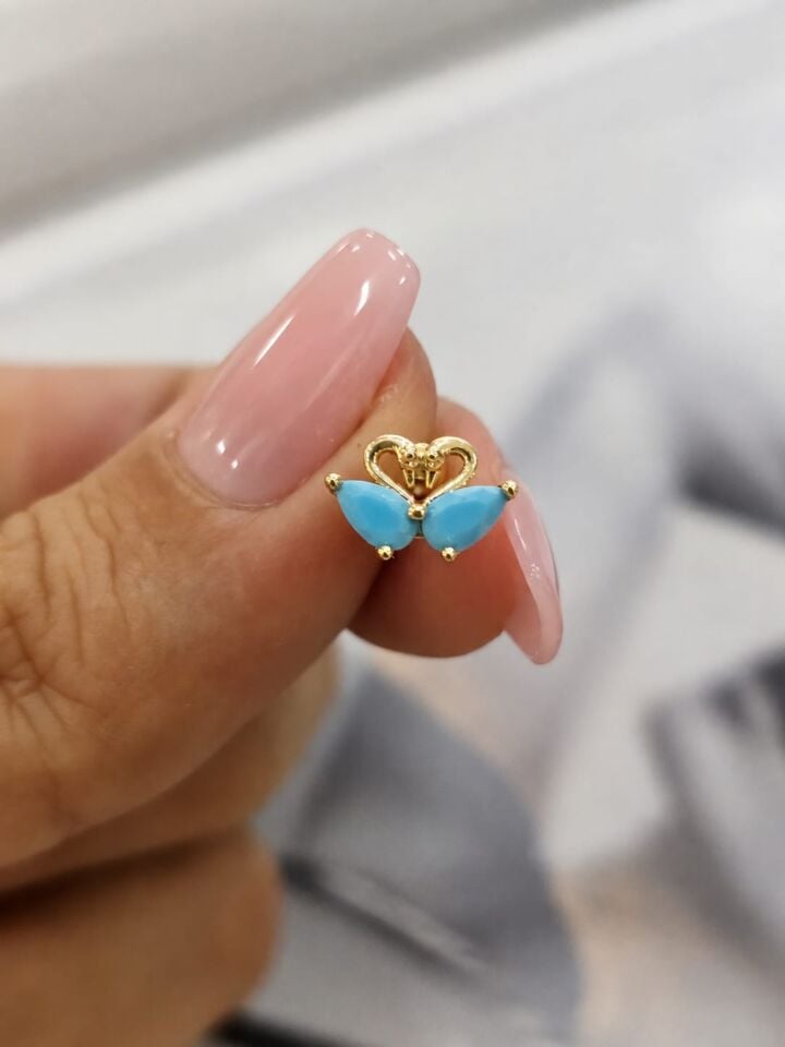 Kuğu Tragus